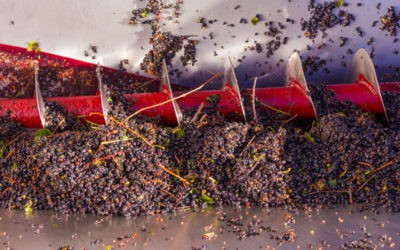 Buds & Small Batch Winemaking